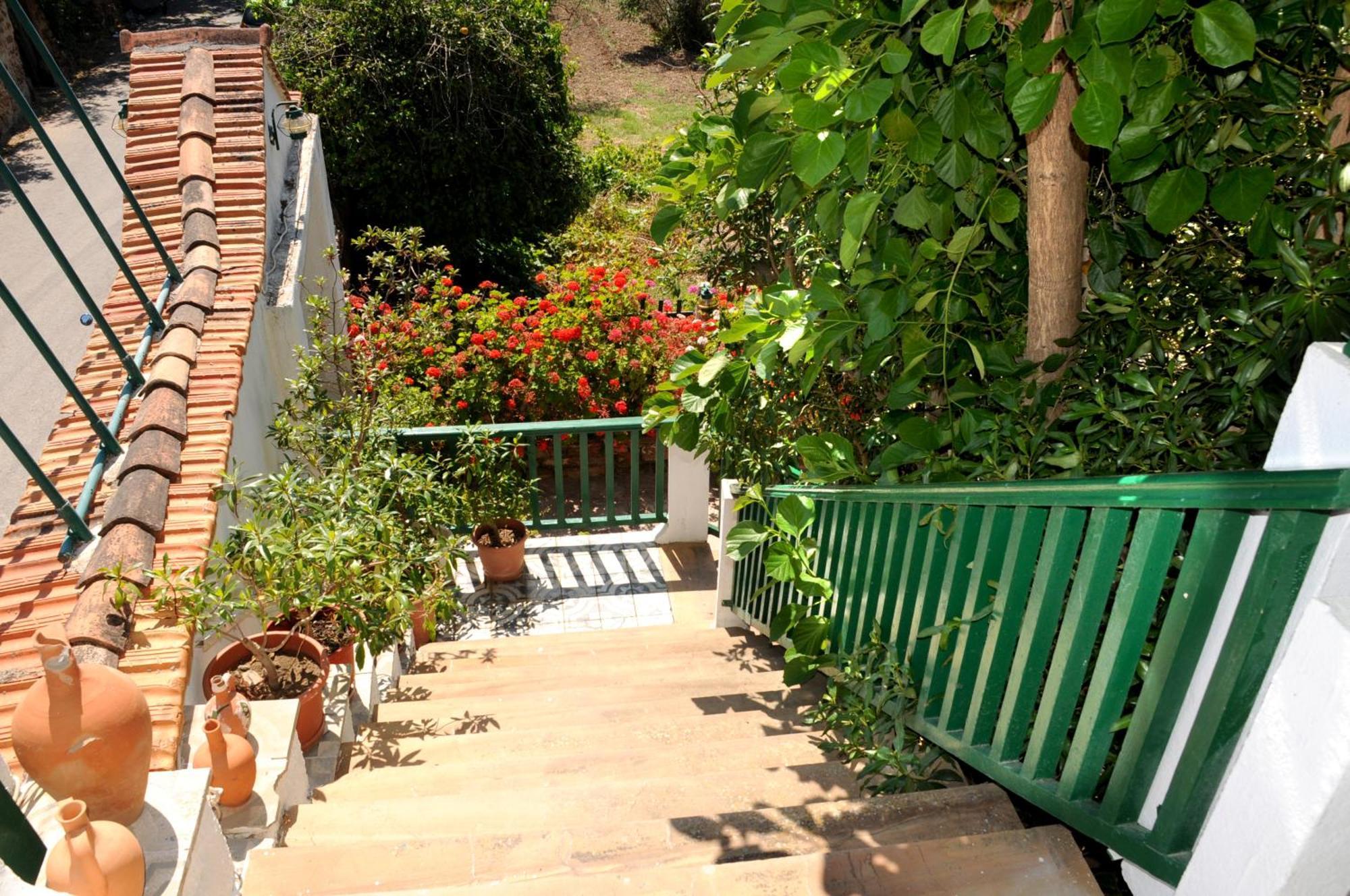 Topakas House Kampochora  Luaran gambar