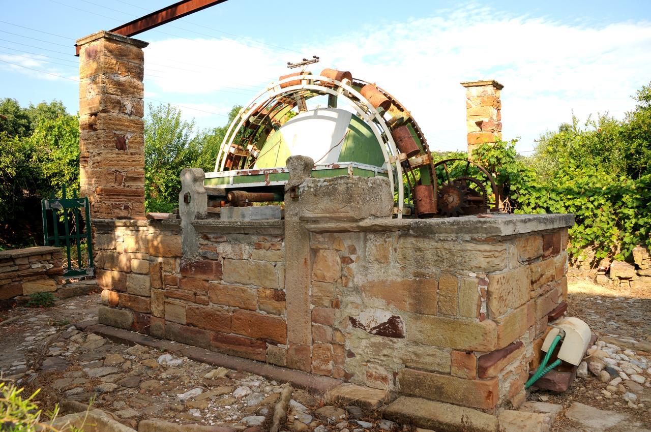 Topakas House Kampochora  Luaran gambar